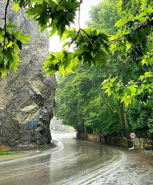 سفر به دوهزار در روزهای بارانی