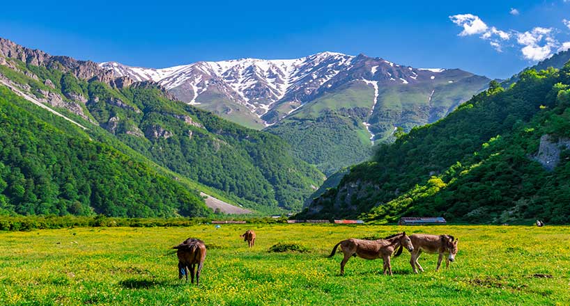 دشت دریاسر تنکابن